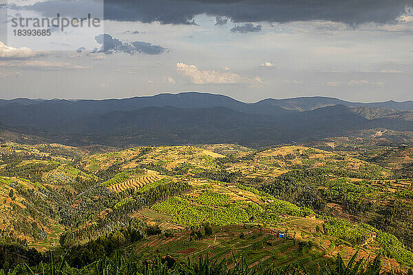 Hügel im Westen Ruandas  Afrika