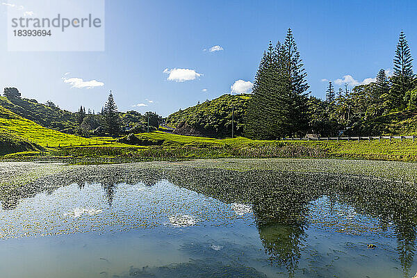 Kleiner Teich in Arthurs Vale  UNESCO-Welterbe  Norfolkinsel  Australien  Pazifik