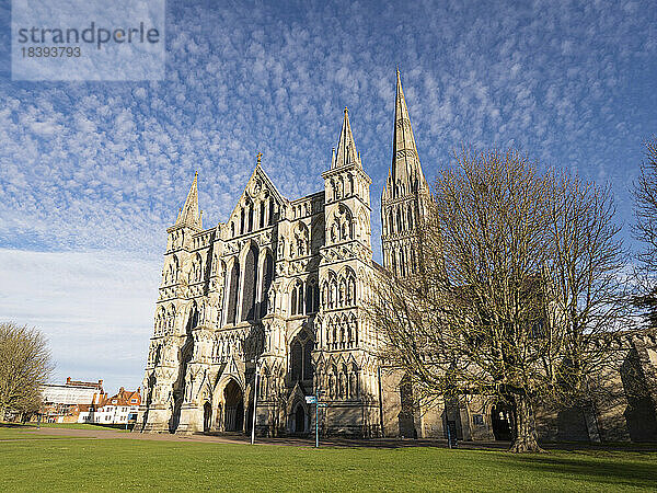 Salisbury Cathedral  Salisbury  Wiltshire  England  Vereinigtes Königreich  Europa