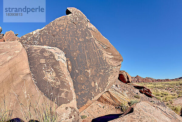 Alte indianische Petroglyphen entlang des Onyx Trail im Petrified Forest National Park  Arizona  Vereinigte Staaten von Amerika  Nordamerika