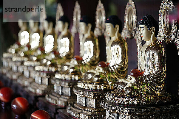 Reihe von sitzenden Buddhastatuen  Linh Ung Buddhistische Pagode  Danang  Vietnam  Indochina  Südostasien  Asien