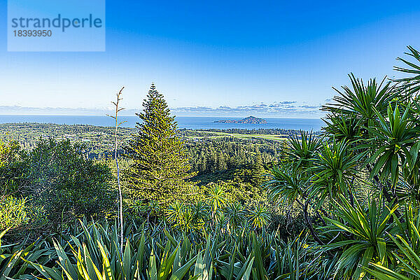 Blick über Norfolk Island  Australien  Pazifik