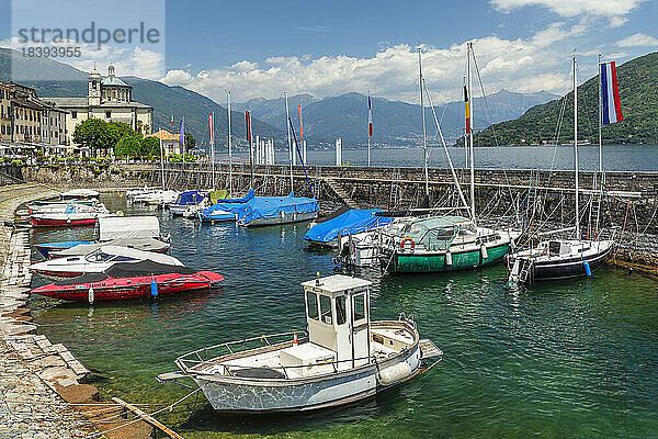 Cannobio  Lago Maggiore  Piemont  Italienische Seen  Italien  Europa