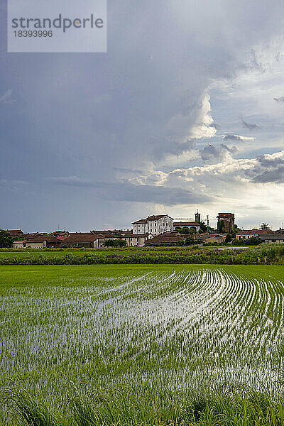 Felder und Reisfelder an einem Sommertag  unter einem stürmischen Himmel  Novara  Po-Ebene  Piemont  Italien  Europa