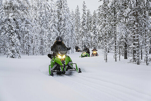 Touristen auf Schneemobilen in einem verschneiten Winterwald  Lappland  Schweden  Skandinavien  Europa