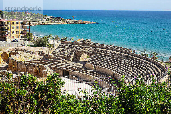 Römisches Amphitheater  Tarragona  Katalonien  Spanien  Europa