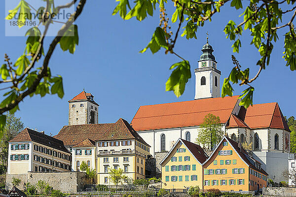 Dominikanerkloster mit Stiftskirche Heilig Kreuz  Horb am Neckar  Schwarzwald  Baden Württemberg  Deutschland  Europa