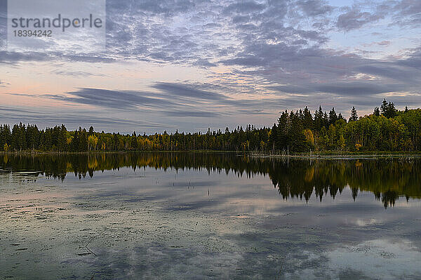Sonnenuntergang im Herbst am Astotin Lake  Elk Island National Park  Alberta  Kanada  Nordamerika