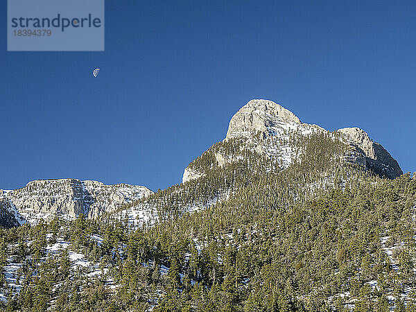 Schneebedeckte Spring Mountains National Recreation Area  Humboldt-Toiyabe National Forest  Nevada  Vereinigte Staaten von Amerika  Nord-Amerika