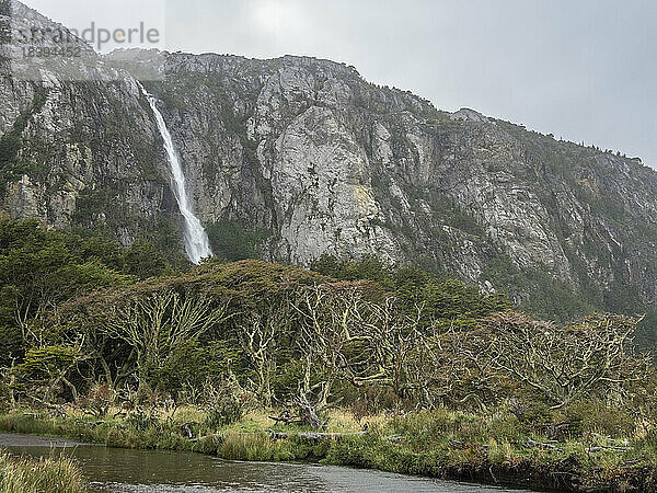Ein Wasserfall  der zwischen Nothofagus-Buchen von den Bergen herabstürzt  im Karukinka-Naturpark  Chile  Südamerika