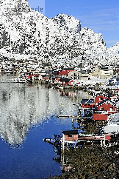 Ortsansicht Reine  Winter  hinten schneebedeckte Berge  Reine  Lofoten  Nordland  Norwegen  Europa