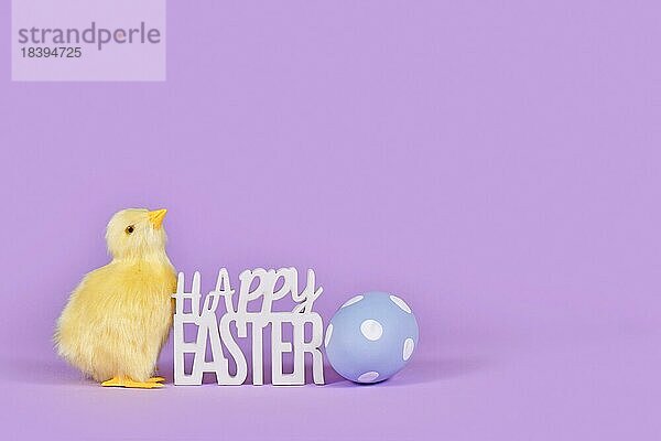 Dekoratives Osterküken  bemaltes Ei und Text Frohe Ostern in Ecke des violetten Hintergrunds mit Kopierraum