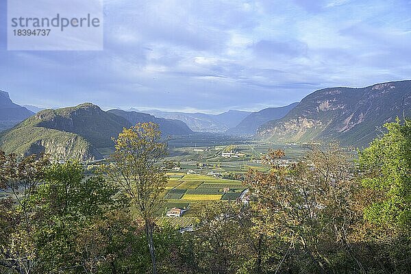 Blick nach Bozen  Castelfeder  Montan  Südtirol  Italien  Europa