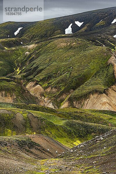 Bunte mit Moss bewachsene Rhyolith Berge  Vulkanlandschaft  Erosionslandschaft  Landmannalaugar  Fjallabak Naturreservat  isländisches Hochland  Suðurland  Island  Europa