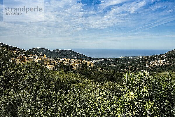 Mittelalterliches Bergdorf an der Küste  Aregno  bei LÎle-Rousse  Balagne  Département Haute-Corse  Korsika  Mittelmeer  Frankreich  Europa