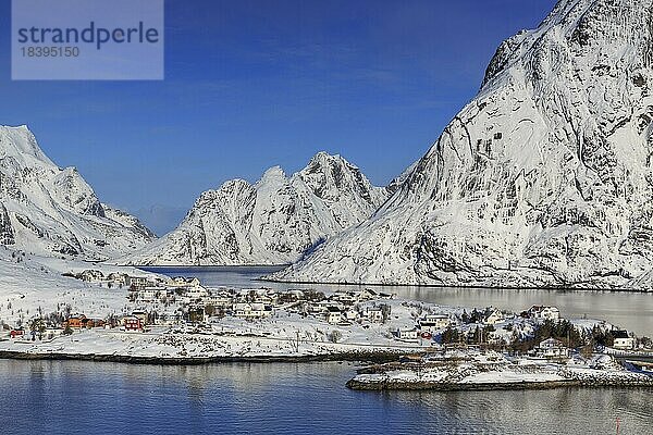Fjordlandschaft im Winter  hinten schneebedeckte Berge  Reine  Lofoten  Nordland  Norwegen  Europa