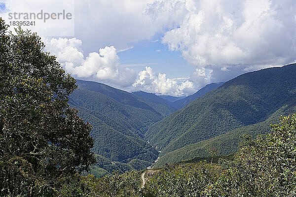 Tropische Nebelwaldlandschaft  Manú Nationalpark Peru