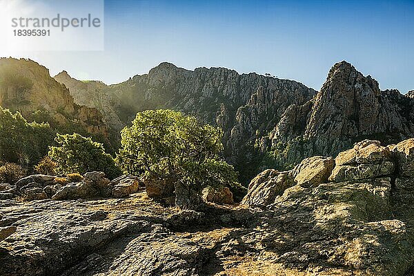 Rote Granitfelsen  Tafoni  Calanches de Piana  Bucht von Porto  Porto  UNESCO Weltnaturerbe  Département Haute-Corse  Westküste  Korsika  Mittelmeer  Frankreich  Europa