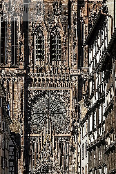 Straßburger Münster  Liebfrauenmünster  die Cathédrale Notre-Dame de Strasbourg gehört zu den bedeutendsten Kathedralen der europäischen Architekturgeschichte  Rosette an der Westfront  Strasbourg  Bas-Rhin  Frankreich  Europa