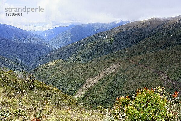 Tropische Nebelwaldlandschaft  Manú Nationalpark Peru