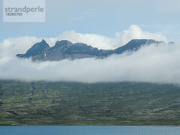 Nebel zieht über Berghang  Ostfjorde  bei Djúpivogur  Ostisland  Island  Europa