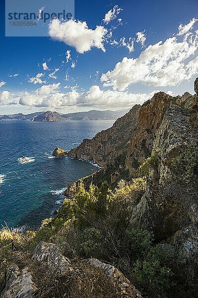 Rote Granitfelsen  Capo Rosso  Piana  Bucht von Porto  Porto  UNESCO Weltnaturerbe  Département Haute-Corse  Westküste  Korsika  Mittelmeer  Frankreich  Europa