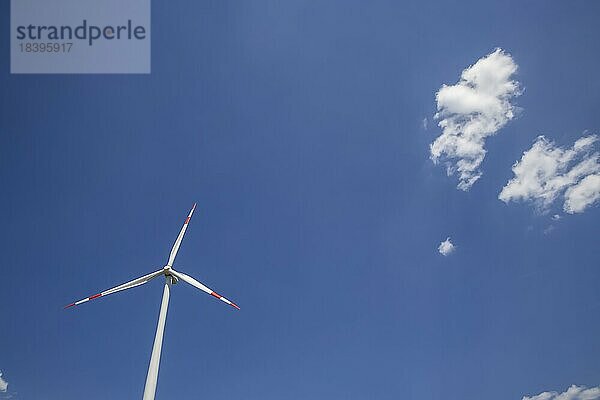 Windrad   blauer Himmel mit Wolke  Energieberg  Karlsruhe  Baden-Württemberg  Deutschland  Europa
