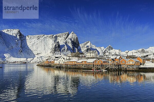 Gelbe Rorbuer im Winter  Fischerhütten  hinten schneebedeckte Berge  Sakrisøy  Reine  Lofoten  Nordland  Norwegen  Europa