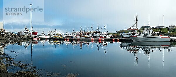 Hafen mit Fischerbooten  Djupivogur  Island  Europa