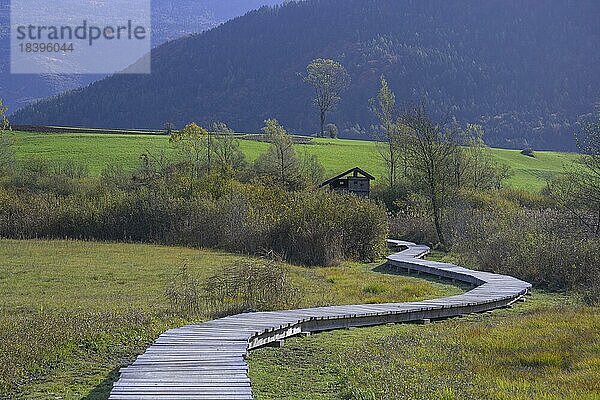 Naturlehrpfad beim Pfahlbaudorf von  Fiavé  Trentino  Italien  Europa