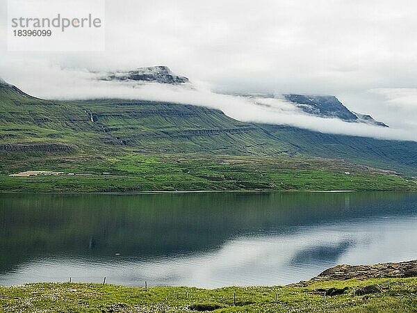 Nebel zieht über einsame Hügel an einem Fjord  Reyðarfjörður  Island  Europa