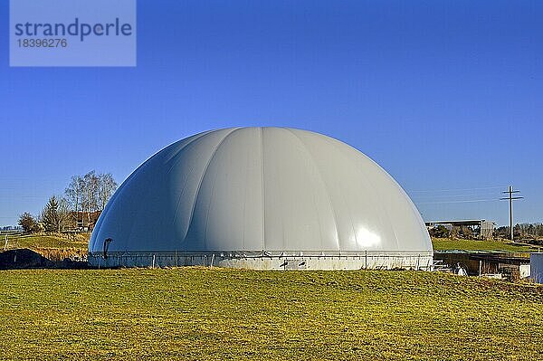 Biogas-Container  Allgäu  Bayern  Deutschland  Europa