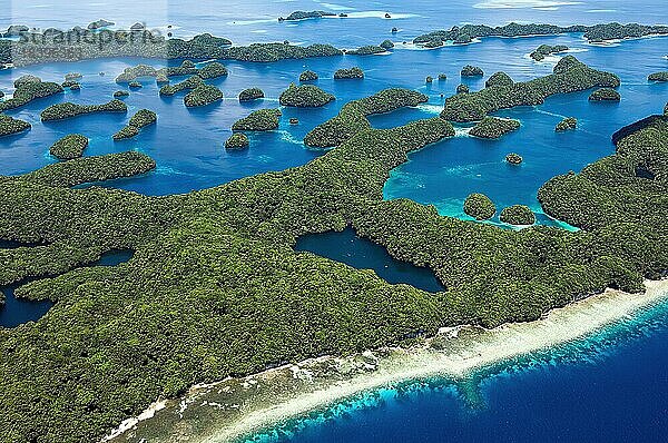 Luftaufnahme Blick aus Vogelperspektive auf kleiner tropischer Archipel viele kleine tropische grüne grün bewachsene Inseln  in Blidmitte Quallensee von Palau  im Vordergrund unberührter Strand  Südsee  Republik Palau Belau  Mikronesien  Ozeanien