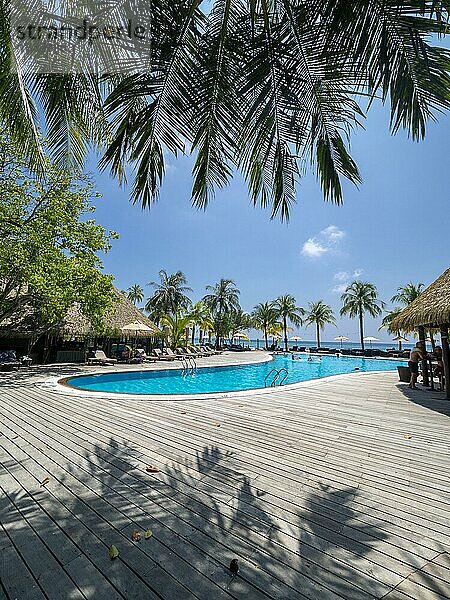 Ferieninsel auf den Malediven  Mit Schwimmbad  Hütten und Sonnenliegen  Malediven  Indischer Ozean  Asien