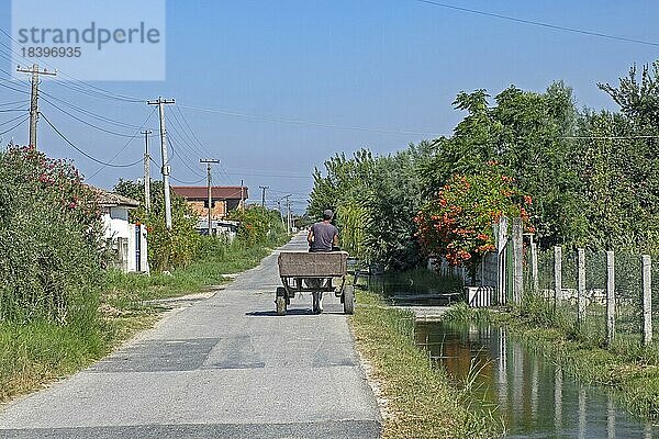 Albanischer Mann auf einem von einem Esel gezogenen Wagen in einem ländlichen Dorf in Nordalbanien im Sommer
