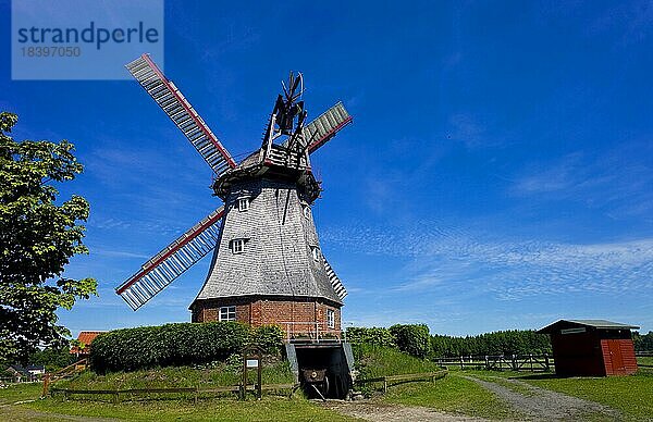 Die Windmühle von Lübberstedt im Landkreis Osterholz  Deutschland  Europa