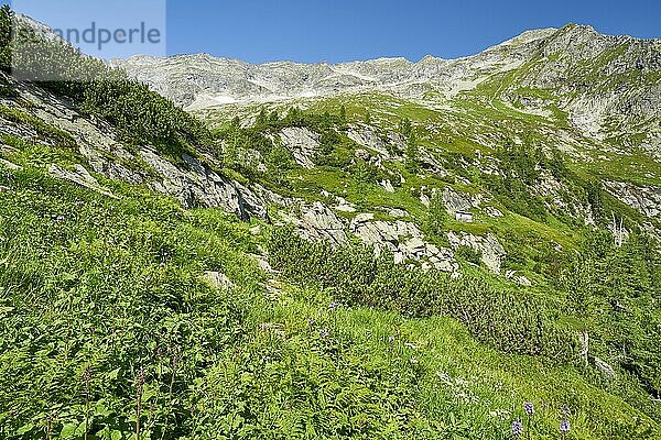 Wanderung im Nationalpark Hohe Tauern  Muhr  Lungau  Salzburg  Österreich  Europa