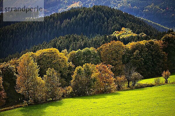Weiter Blick in die Landschaft im Herbst  Schomberg  Wildewiese  Sundern  Sauerland  Nordrhein-Westfalen  Deutschland  Europa