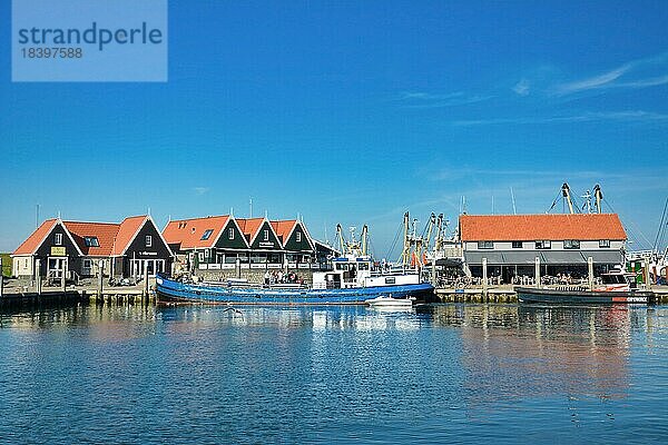 Blick auf den Hafen mit dem blauen Schiff Rival  das Touristen auf der Insel Texel Sportfischtouren anbietet  Oudeschild  Texel Niederlande