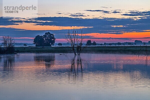 Sonnenaufgang im Naturschutzgebiet Bislicher Insel am Niederrhein bei Xanten  Nordrhein-Westfalen