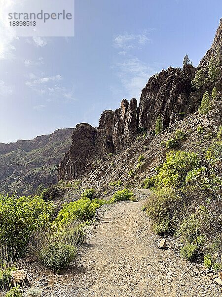 San Bartolomé de Tirajana  Gran Canaria  Kanaren  Spanien  Europa