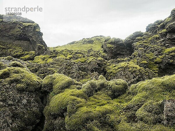 Kraterlandschaft Tjarnargígur  Moos bewachsene Vulkan-Landschaft  Laki-Kraterlandschaft  Hochland  Süd-Island  Suðurland  Island  Europa