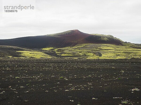 Kraterlandschaft Tjarnargígur  Moos bewachsene Vulkan-Landschaft  Laki-Kraterlandschaft  Hochland  Süd-Island  Suðurland  Island  Europa