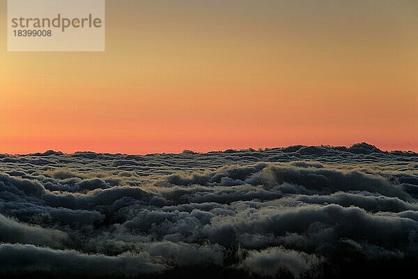 Kurz vor Sonnenaufgang über Passatwolken in 2000 Meter Höhe  Nationalpark Teide  Teneriffa  Kanarische Inseln  Spanien  Europa