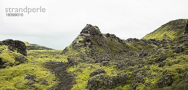 Moos bewachsene Vulkan-Landschaft  Laki-Krater oder Lakagígar  Hochland  Süd-Island  Suðurland  Island  Europa