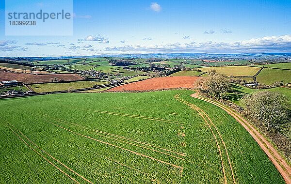 Felder und Ackerland im Frühling aus einer Drohne  Devon  England  Großbritannien  Europa