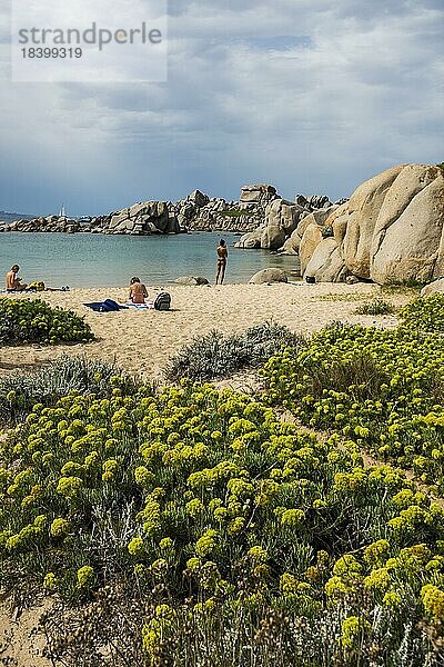 Granitfelsen und Sandstrand  Tafoni  Lavezzi Inseln  Îles Lavezzi  Bonifacio  Corse-du-Sud  Korsika  Mittelmeer  Frankreich  Europa