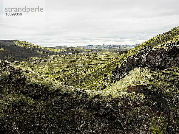 Moos bewachsene Vulkan-Landschaft  Laki-Krater oder Lakagígar  Hochland  Süd-Island  Suðurland  Island  Europa