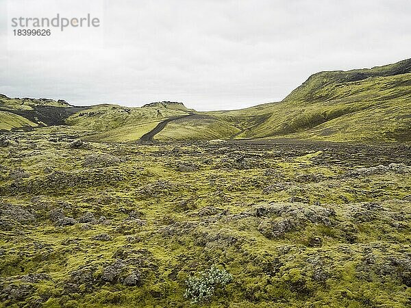 Straße im Hochland  Moos bewachsene Vulkan-Landschaft  Laki-Krater oder Lakagígar  Hochland  Süd-Island  Suðurland  Island  Europa