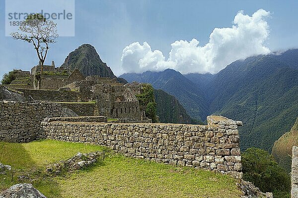 Machu Picchu  Ruinenstadt der Inkas  Andenkordillere  Provinz Urubamba  Cusco  Peru  Südamerika